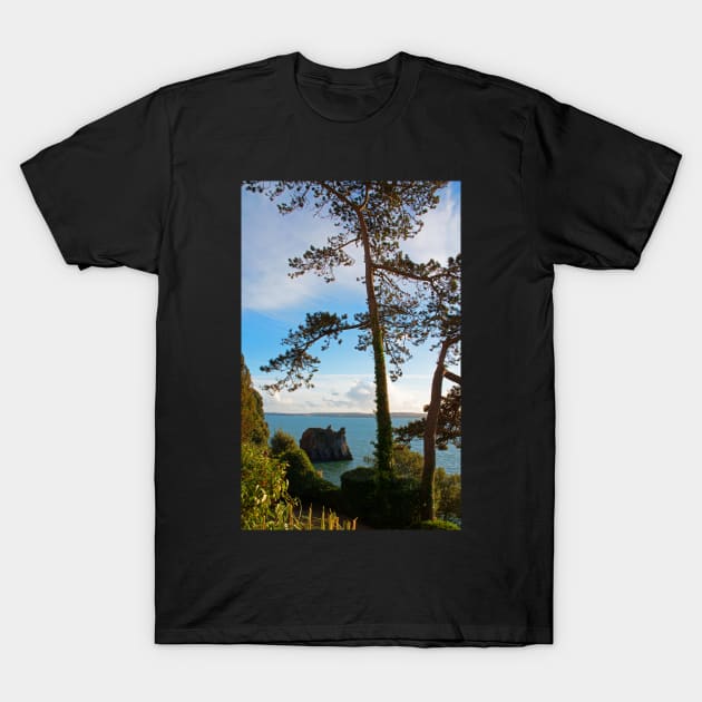 The English Riviera, Torquay T-Shirt by Graz-Photos